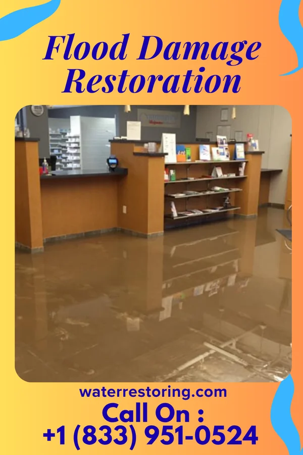 Flood Damage Restoration in Knollcrest, CT