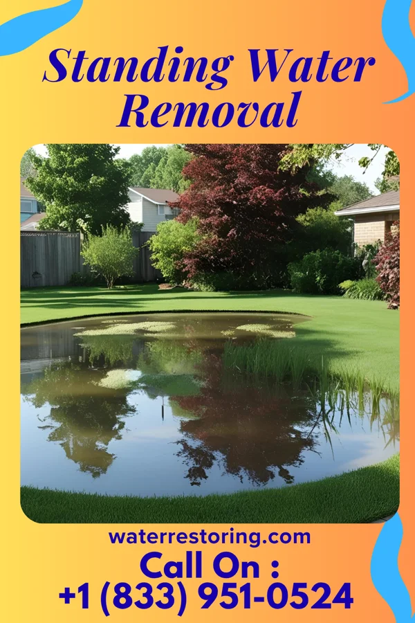 Standing Water Removal in Knollcrest, CT